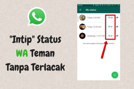 Cara “Ngintip” Status WhatsApp Tanpa Diketahui Si Pembuatnya
