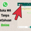 Cara Agar WhatsApp Terlihat Offline