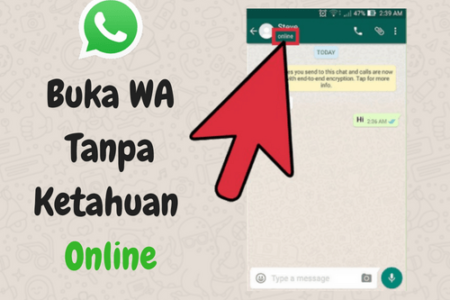 Begini Cara Menyembunyikan Status “Online” di WhatsApp Kamu